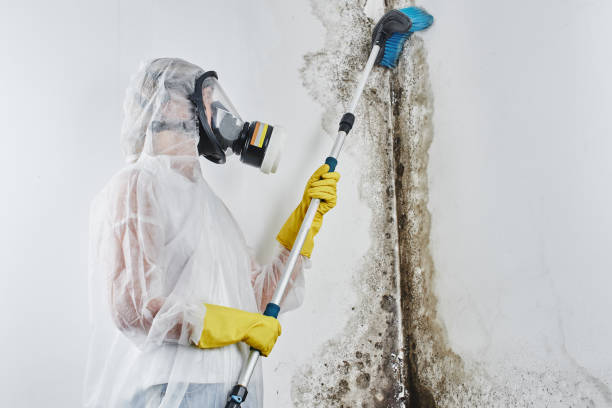 Best Crawl Space Mold Removal  in Geva, NE