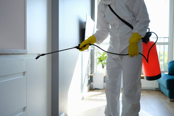 Best Attic Mold Removal  in Geva, NE