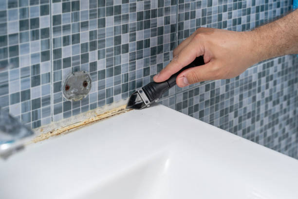 Best Commercial Mold Removal  in Geva, NE