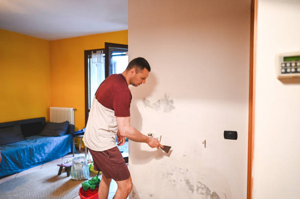 Attic Mold Removal in Geneva, NE