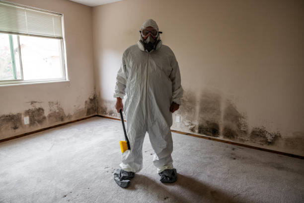 Certified Mold Removal in Geneva, NE